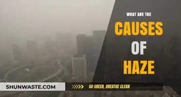 Unveiling the Haze: Understanding the Complex Causes