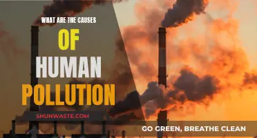 Unveiling the Human Impact: Causes of Environmental Pollution