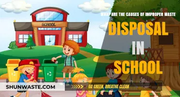 Understanding the Root Causes of Improper Waste Disposal in Schools