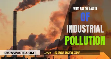 Unveiling the Complex Web: Industrial Pollution's Many Causes