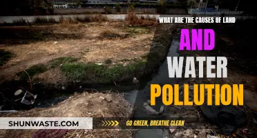 Unveiling the Sources: Land and Water Pollution Explained