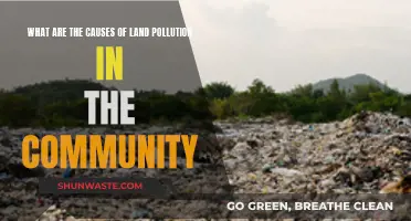 Unveiling the Hidden Causes of Land Pollution in Our Communities