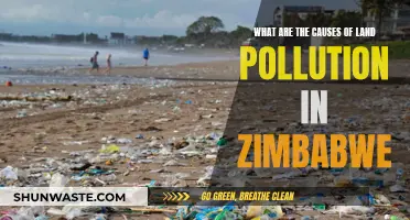 Unveiling Zimbabwe's Land Pollution: Causes and Solutions