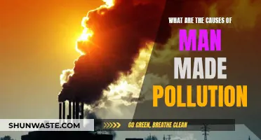 Human Impact: Unveiling the Sources of Man-Made Pollution