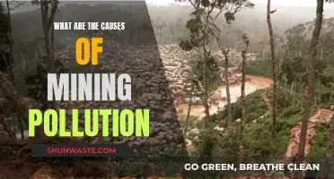 Unveiling the Hidden Dangers: Causes of Mining Pollution