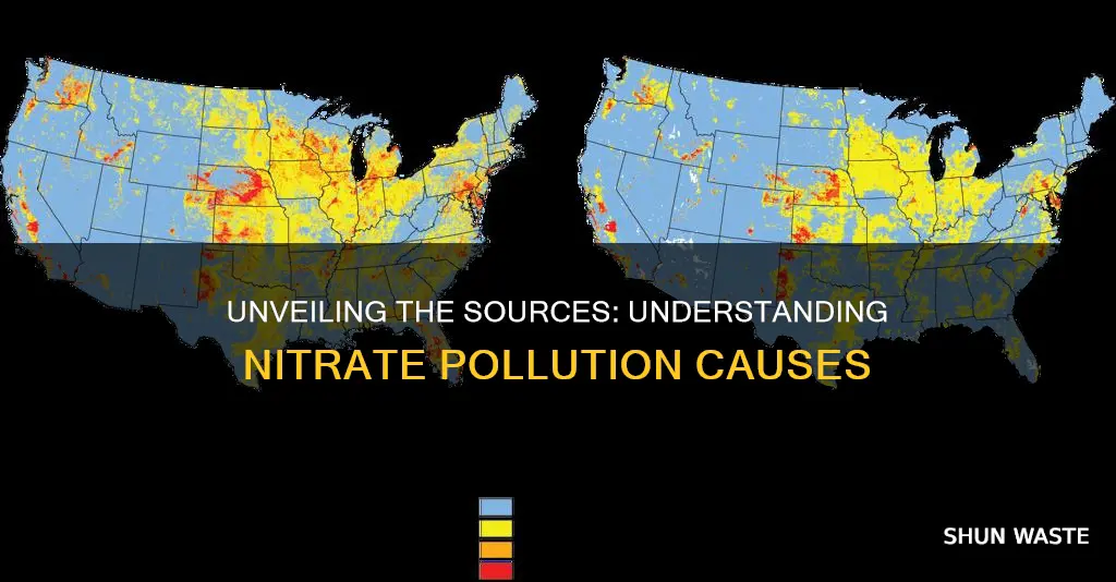 what are the causes of nitrates pollution