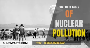 Unveiling the Origins: Understanding Nuclear Pollution's Causes