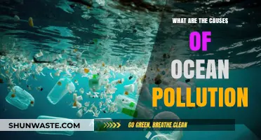 Unveiling the Sources: Ocean Pollution's Hidden Causes