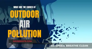 Outdoor Air Pollution: Causes and Human Impact