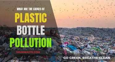 Unveiling the Sources: Why Plastic Bottles Pollute Our Planet