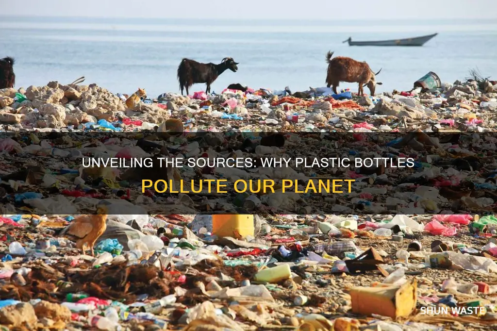 what are the causes of plastic bottle pollution