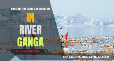 Unveiling the Ganga's Pollution: Causes and Solutions