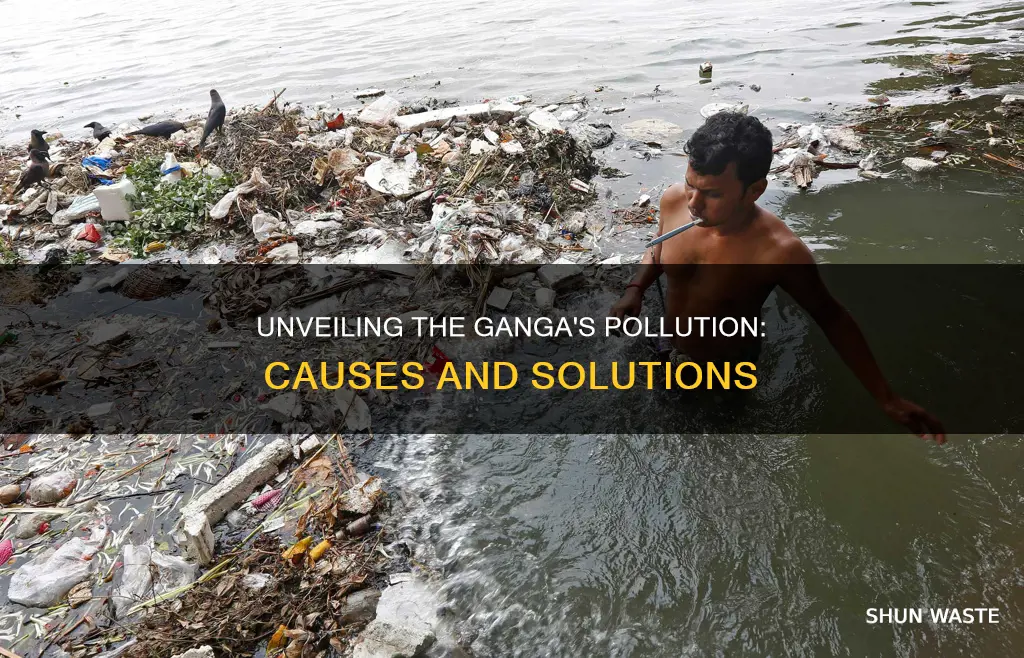 what are the causes of pollution in river ganga