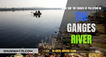 Unveiling the Ganges' Pollution: Causes and Consequences