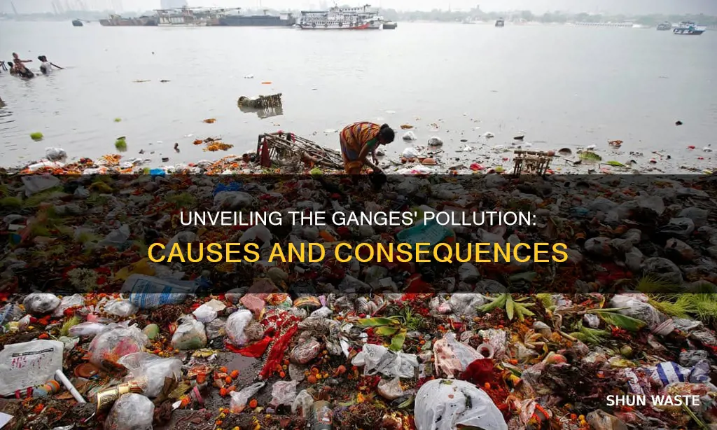 what are the causes of pollution in the ganges river