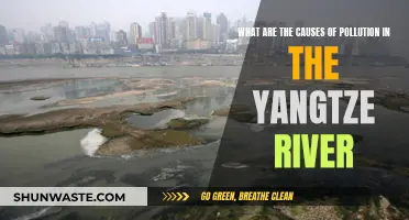 Unveiling the Sources: Yangtze River's Pollution Crisis Explained