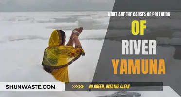 Unveiling the Sources: Why Yamuna River Faces Pollution Crisis