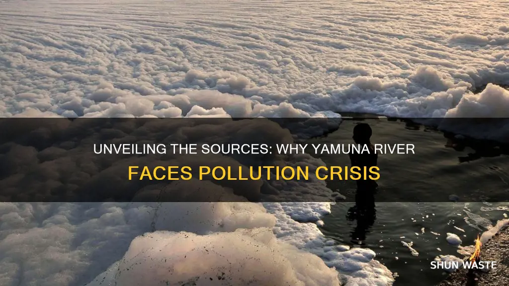 what are the causes of pollution of river yamuna