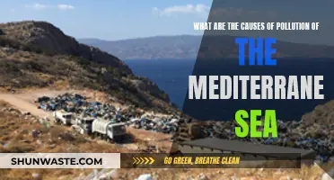 Unveiling the Mediterranean's Pollution: Causes and Solutions