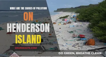 Unveiling Henderson Island's Pollution: Causes and Solutions Explored