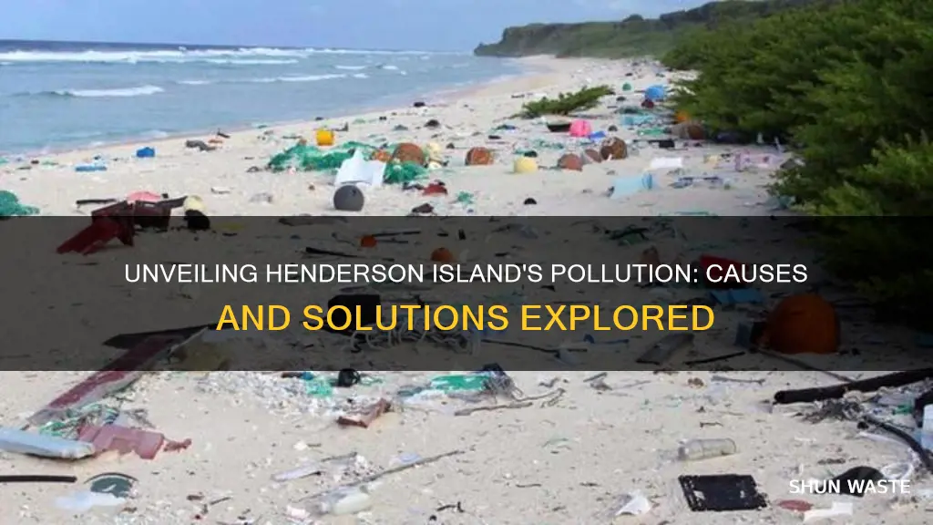 what are the causes of pollution on henderson island