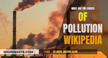 Unveiling Pollution's Origins: Causes Explored on Wikipedia