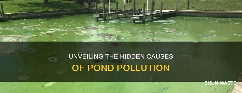 what are the causes of pond pollution