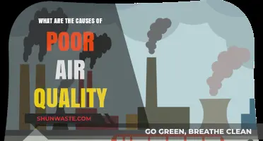 Unveiling the Hidden Causes of Poor Air Quality