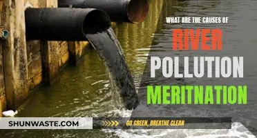 Unveiling the Sources: River Pollution Causes Explored