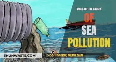 Unveiling the Sources: Understanding Sea Pollution's Causes