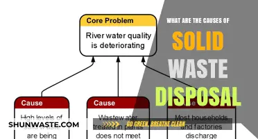 Understanding the Root Causes of Solid Waste Disposal Issues