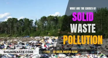 Unveiling the Sources: Understanding Solid Waste Pollution Causes