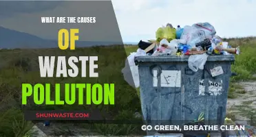 Unveiling the Sources: Understanding Waste Pollution's Origins