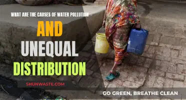 Unveiling Water Woes: Causes and Consequences of Pollution and Unequal Access