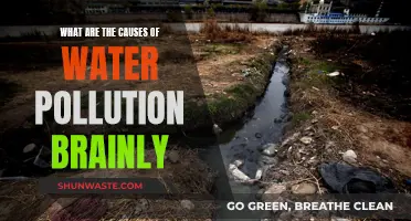 Unveiling the Hidden Causes of Water Pollution: A Comprehensive Guide