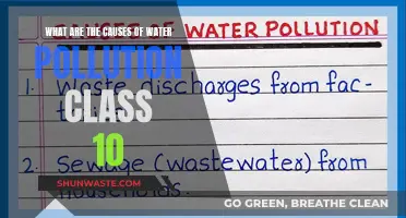 Unveiling Water Pollution: Causes and Solutions for a Healthier Planet