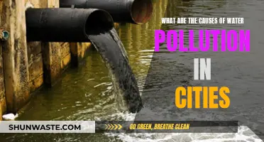 Unveiling Urban Water Woes: Causes and Solutions for City Pollution