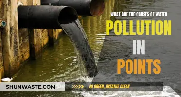 Unveiling the Sources: A Deep Dive into Water Pollution Causes