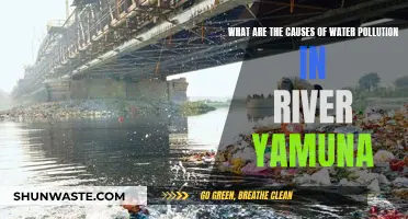 Unveiling the Sources: Understanding Water Pollution in River Yamuna