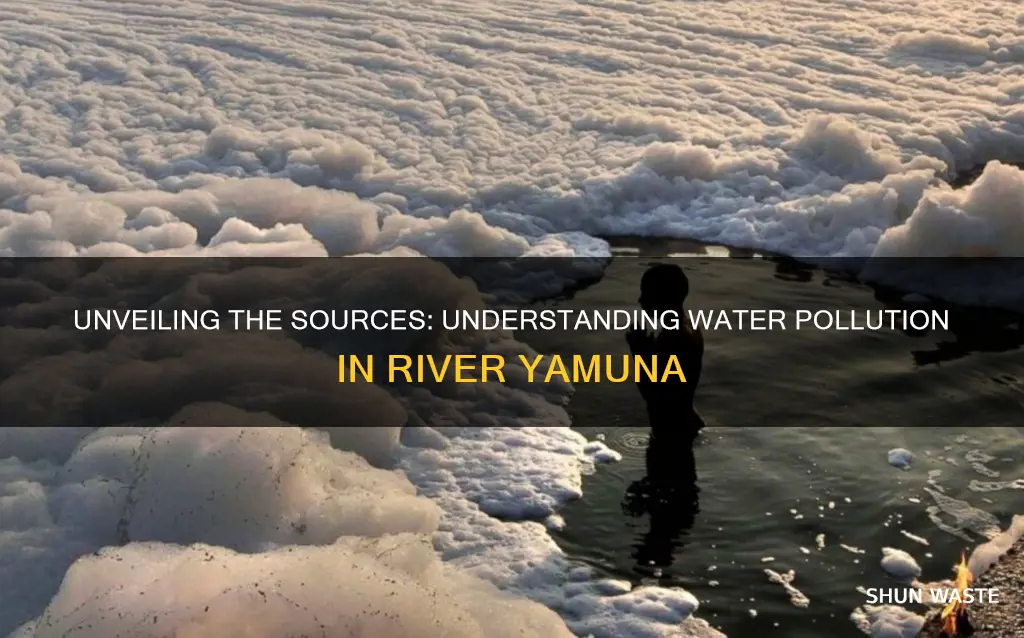 what are the causes of water pollution in river yamuna