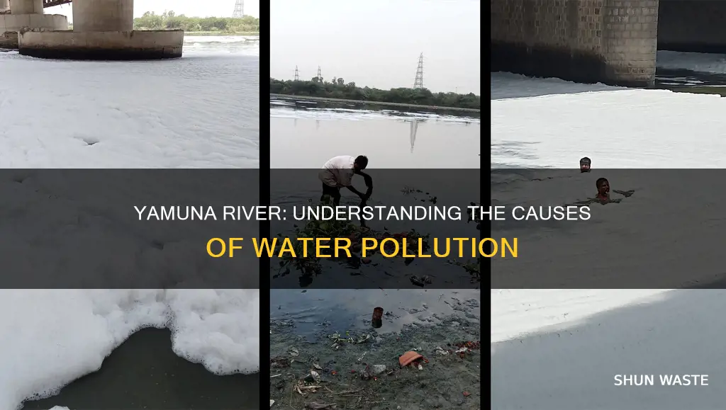 what are the causes of water pollution in river yamuna