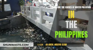 Water Woes: Uncovering the Philippines' Pollution Crisis