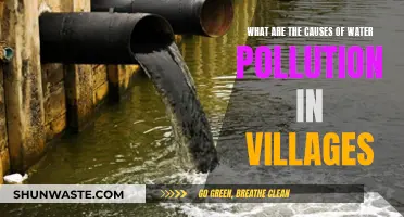 Unveiling the Hidden Causes of Village Water Pollution