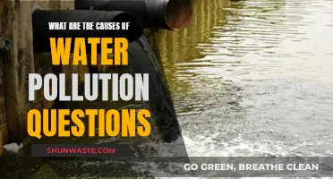 Unveiling the Sources: Understanding Water Pollution Causes