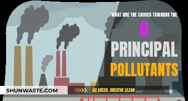 Unraveling the Origins: Understanding the 6 Main Pollutants