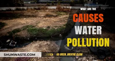 Unveiling the Hidden Causes of Water Pollution: A Comprehensive Guide