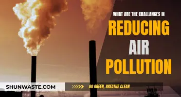 Air Pollution: Tackling the Challenge of Cleaner Air