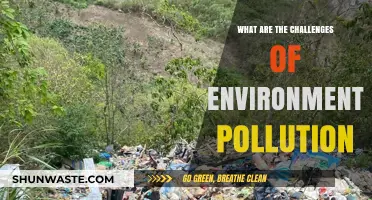 Environmental Pollution: Overcoming the Challenges