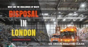 Navigating the Complexities of Waste Disposal in London