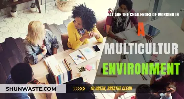 Navigating Cultural Diversity: Overcoming Challenges in a Multicultural Workplace